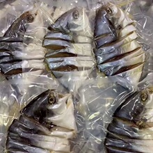 咸魚-咸魚批發(fā)、促銷價格、產(chǎn)地貨源 