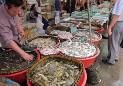水產(chǎn)品放心吃！多地市場核酸檢測陰性，安全有保障